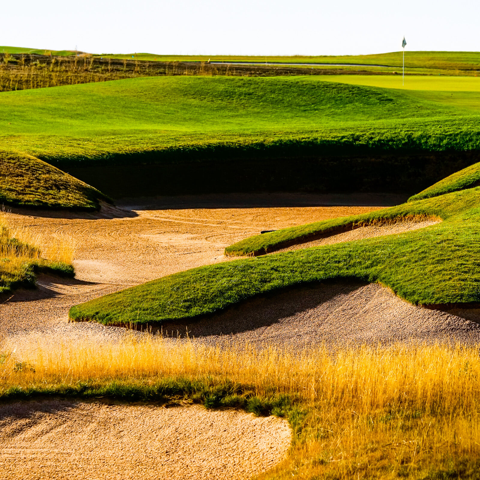 golf at heron lakes